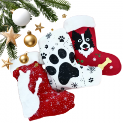 CONFEZIONE PICCOLA 260g