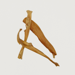 PELLE DI TESTA BOVINA...