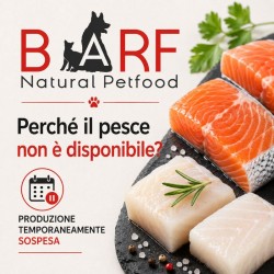 PESCE-SALMONE-MERLUZZO