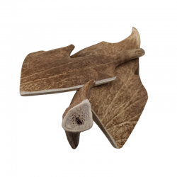 CORNO DI DAINO M 120-160 GR